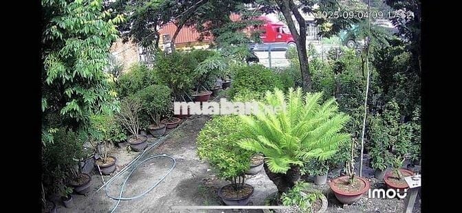 Bán Đất Mặt Tiền Nguyễn Huệ 5.500m2