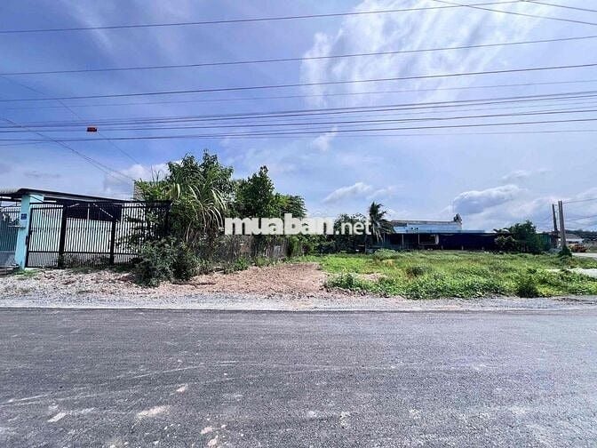 BÁN ĐẤT MẶT TIỀN ĐƯỜNG ÚT AN – THỊ TRẤN ĐỨC HÒA