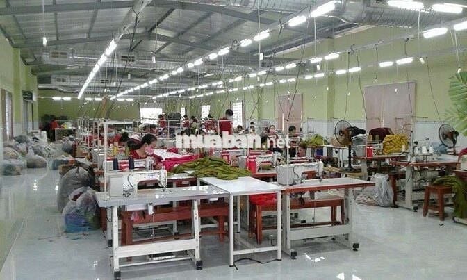 💢Bán xưởng may củ chi DT 2517m đất ở 2000m.