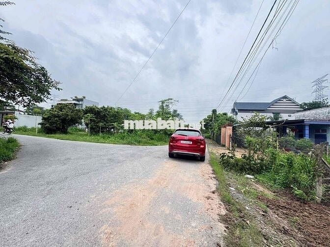 BÁN ĐẤT ĐƯỜNG CÂY TRÔM - CỦ CHI - SHR