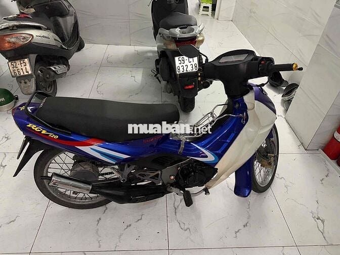 cần bán xipo giá yêu thương,chỉ có cà vẹt gốc