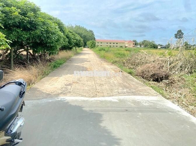 Trường Tiểu học - THCS Tân Hưng đi bộ tới đất 3 phút 370tr có vay