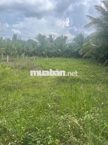 Cực đẹp bán 2 nền đất liền kề ngay Cụm CN Bình Ninh giá chỉ 400 triệu