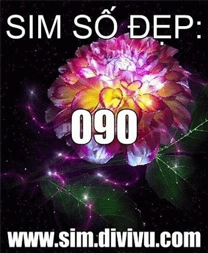 Sim đầu đẹp 0903, 0906, 0908, 0909, 091, tuyển chọn