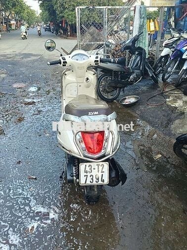 SYM Elizabeth Trắng