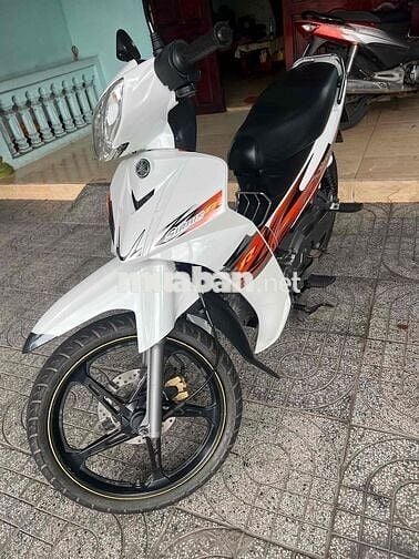 xe zin cọp hàng hiếm có 102