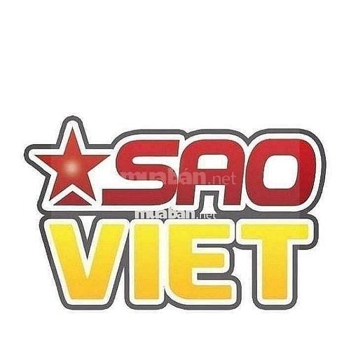 Tuyển Dụng Lái xe tải van Thaco 950kg