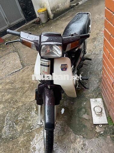 cần bán dream thái