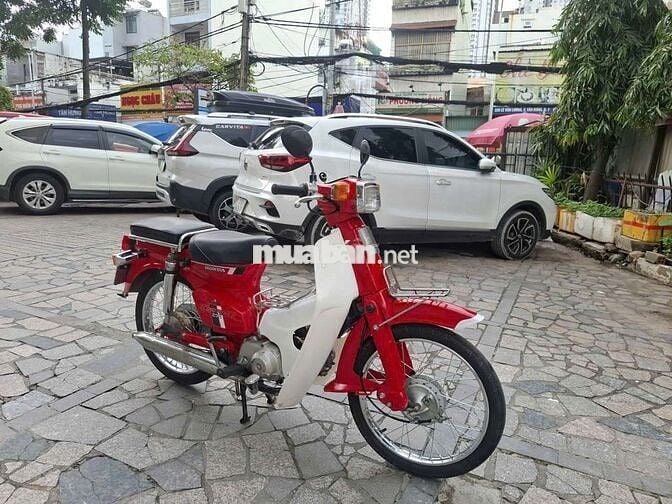 Xe Honda cup đê đê bstp