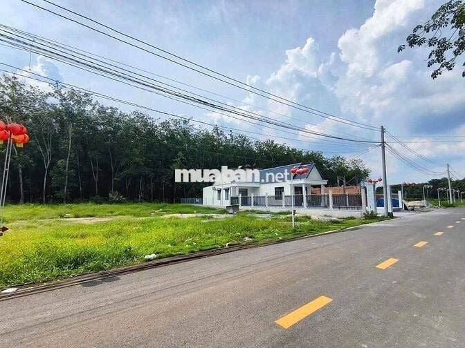 ANH 8 CẦN SANG GẤP 4 MIẾNG ĐẤT TRÊN MẶT TIỀN ĐƯỜNG HUYỆN 32M