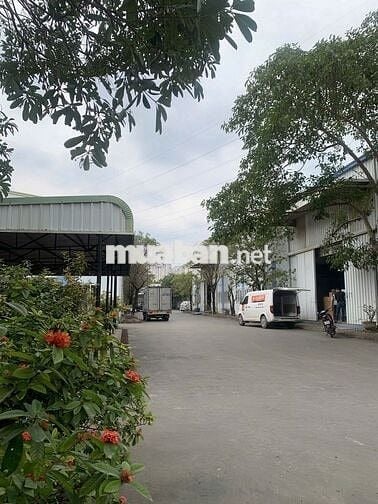 Chính chủ cho thuê kho 1000m2 tại Yên Nghĩa, Hà Đông đầy đủ PCCC