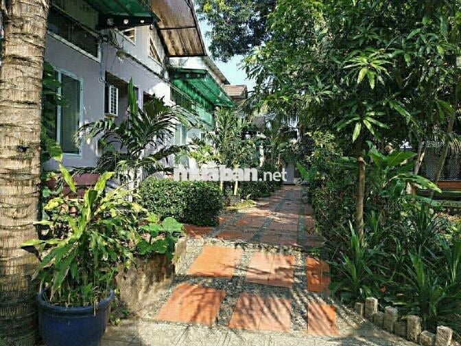 Phòng trọ chothuê Cù Lao Phố, Hiệp Hòa 25m2 Đặng Văn Trơn View SânVườn