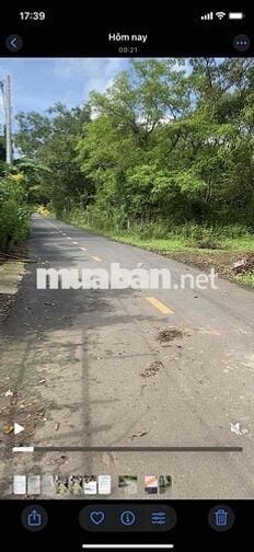 Đất sổ hồng 2300m2 ngay Tỉnh lộ 328 mới  Xã Hồ Tràm TPHCM