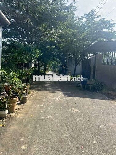 Chủ bán đất gần Chợ Bến Lớn , trường tiểu học Tân Định và Quốc lộ 13