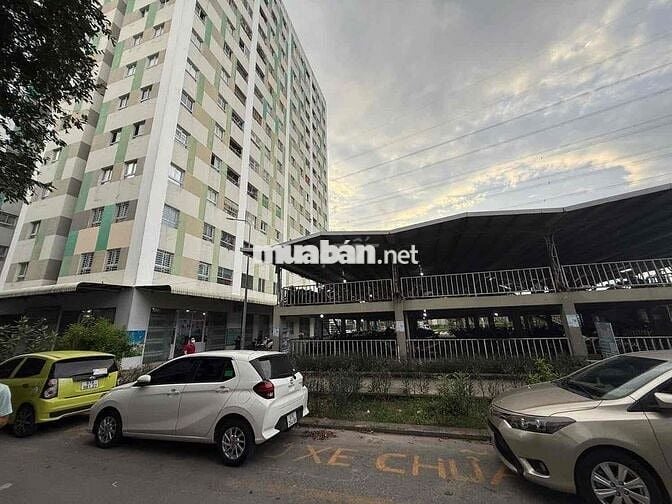 CHO THUÊ CĂN HỘ FULL NỘI THẤT – 52m² – TẦNG 14 – KHU VSIP 1 – CHỈ 5.5