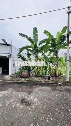 Bán lô đất đẹp, đường 7m Nguyễn Văn Tạo, 81m2, ngang 6.5, chỉ 3.x tỷ