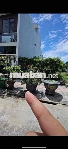 hàng biển tân trà khu hoà hải cần thanh khoản gấp