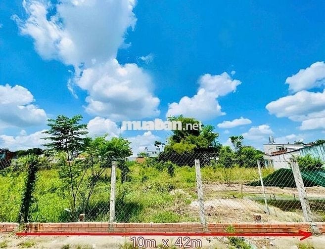 Đất mặt tiền kinh doanh 10m ngay chợ Việt Kiều, Củ Chi. DT (10x42)