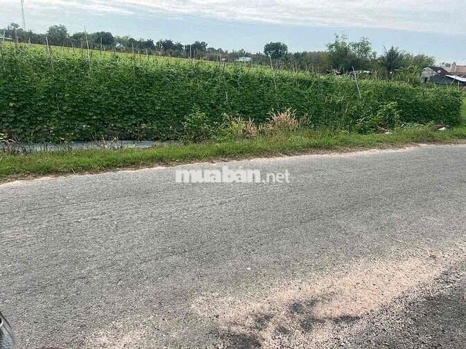 🌾🔥 CHÍNH CHỦ CẦN BÁN GẤP LÔ ĐẤT ĐẸP – XÃ THÁI MỸ, HUYỆN CỦ CHI 🔥🌾