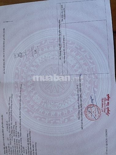 CHÍNH CHỦ BÁN 2 LÔ ĐẤT THỔ CƯ LIỀN NHAU MẶT TIỀN 9M 