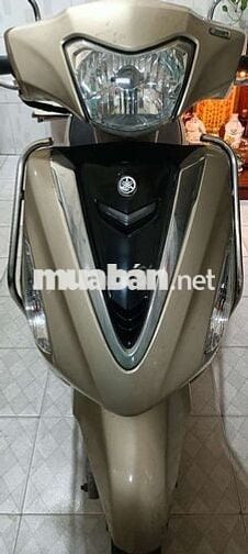 Tay ga giá phổ thông 9 chủ