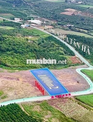ĐẤT NỀN LÂM ĐỒNG VIEW ĐỒI GIÁP NHỰA – 1.000m² CHỈ 630 TRIỆU!