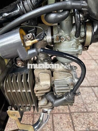 W thái 110 Đời 1999 Bstp 1 đời chủ (Đầu zin)