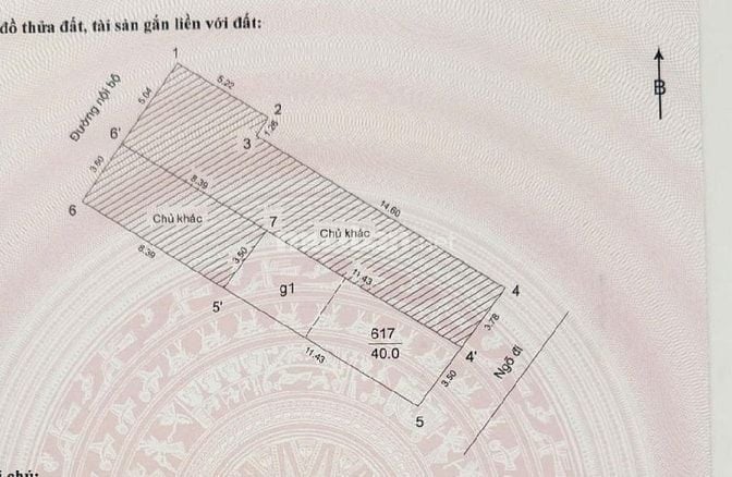 89 Lạc Long Quân - MẶT TIỀN KINH DOANH, NHÀ VEN HỒ, VIEW XANH MÁT
