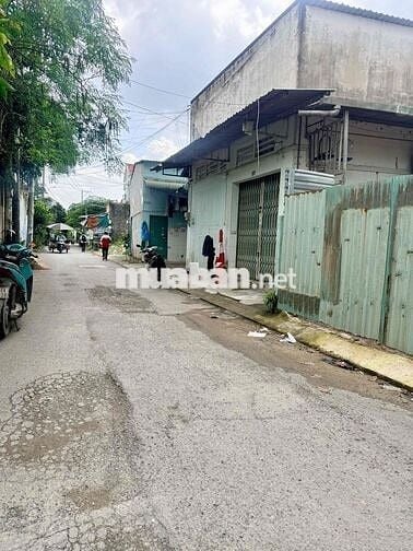 BÁN ĐẤT ĐƯỜNG SỐ 8, LINH XUÂN,  ĐƯỜNG NHỰA 4.5M – 56.5M² (4.55 x 12.41