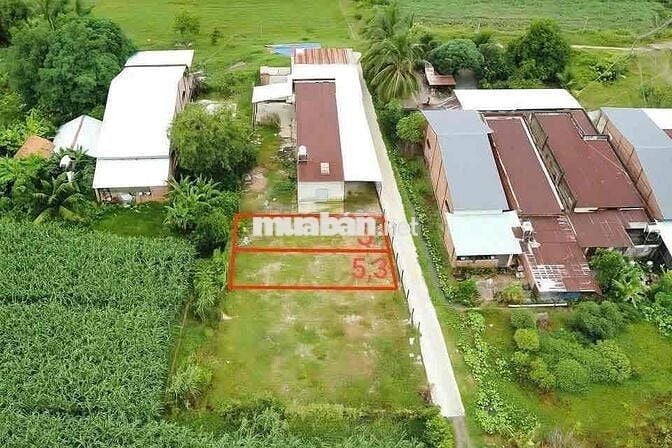 Chỉ 280tr  Đất thổ cư Đường Bê Tông gần KCN Hiệp Thạnh Gò Dầu Tây Ninh