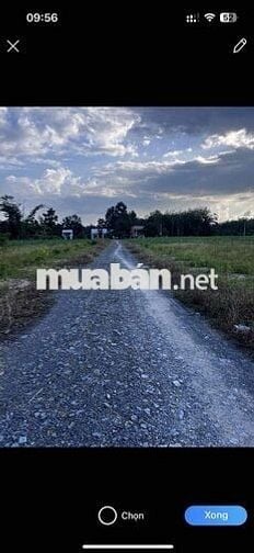 654,5m2 Đất gần KCN Hiệp Thạnh Gò Dầu chỉ 700tr