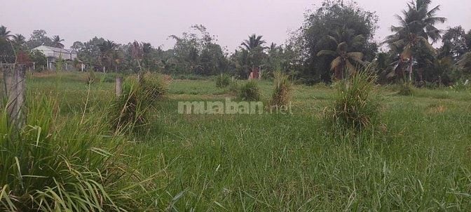 Cần bán đất thổ cư, liên hệ ông Trân. 0949.322.631