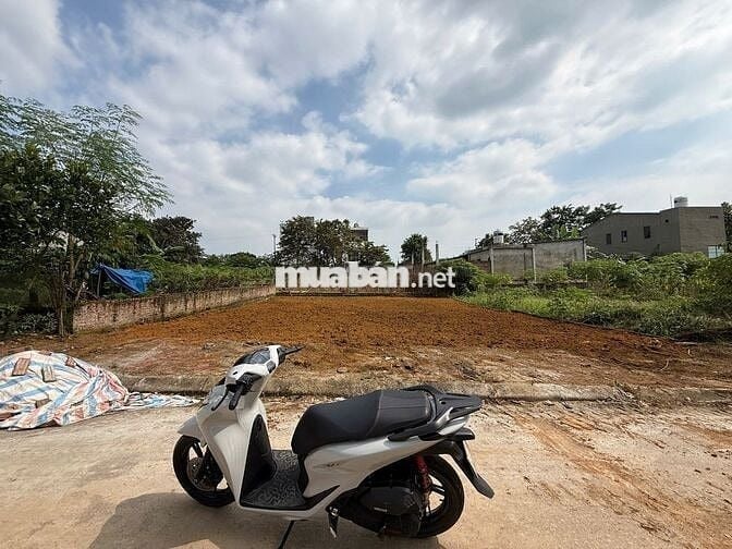 TĐC VAI RÉO 200M2 FULL ĐẤT Ở, MT 10M