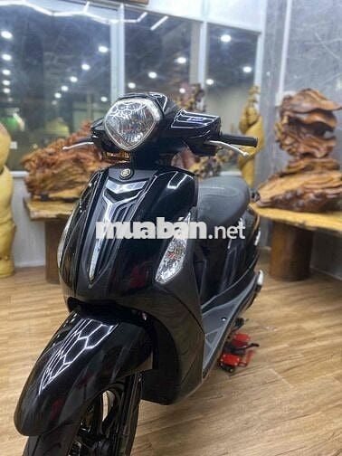 👉Grande 2016 dàn áo cứng cáp, máy bao ê