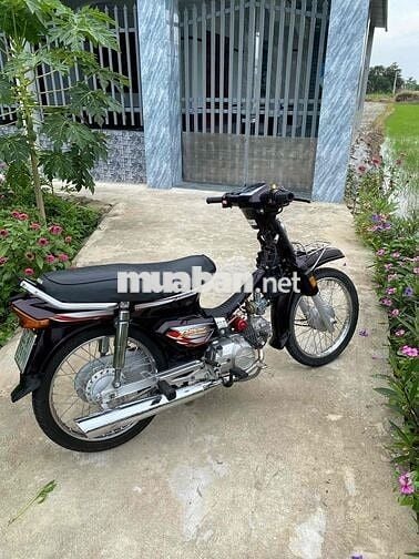 cần bán hoặt gl wawe