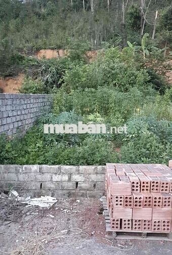 Đất 85m2 ngang 5,6m MT đường 10m Thôn 10, Kỳ Sơn 800 triệu