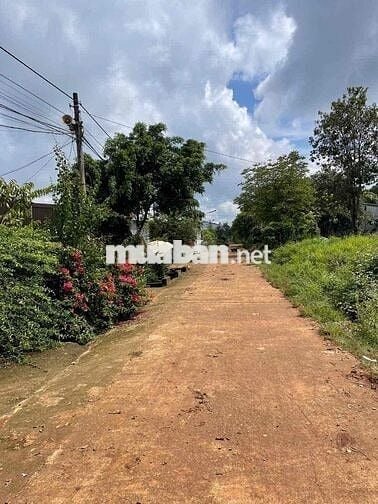 BÁN LÔ ĐẤT TÂM HUYẾT MẶT TIỀN ĐƯỜNG NHỰA A4 THÔN 4 XÃCUÊBUR (CŨ)_TpBM