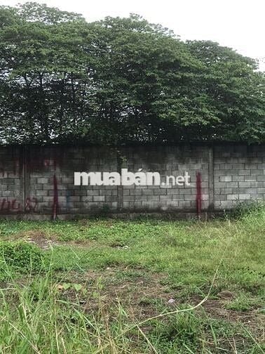 BÁN ĐẤT THỔ CƯ ẤP 4 XÃ MỸ YÊN TỈNH TÂY NINH(TỈNH LONG AN CŨ)