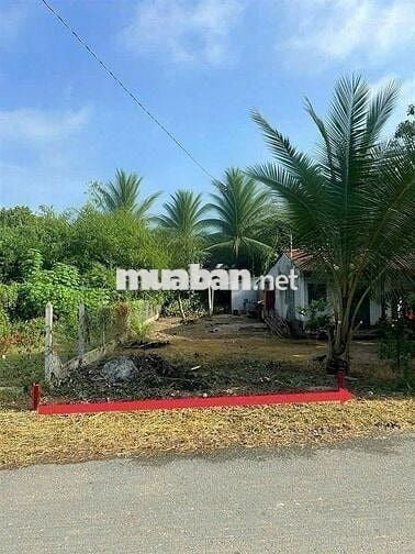✅Đất ngộp 1/ Cây Trôm Mỹ Khánh 170m², cách MT 200m, giá 1.78 tỷ TL
