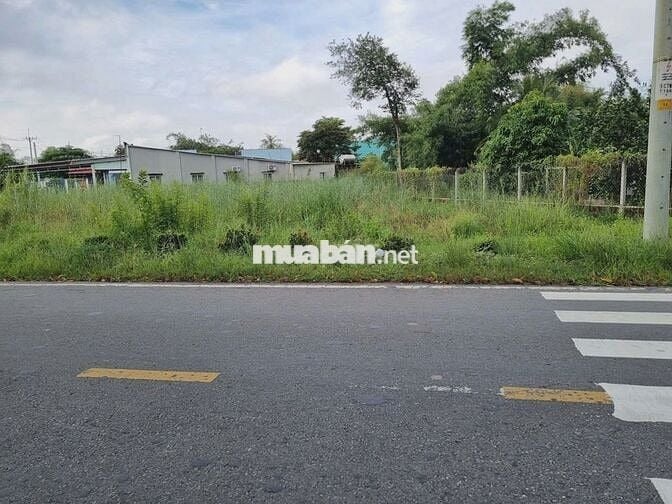 ✅Ngộp: đất MT Cây Trôm Mỹ Khánh 140m², SHR, giá 1.65 tỷ thương lượng