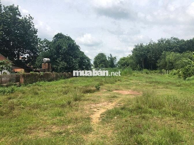 CẦN BÁN LÔ ĐẤT 1500M2 TRẢNG BÀNG TÂY NINH GIÁ 1 TỶ2 THƯƠNG LƯỢNG