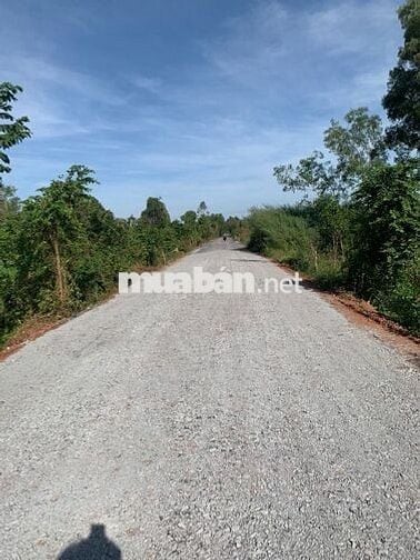 Bán đất mặt tiền Tam Tân, đối diện sân gofl West Lake,2.35 tỷ