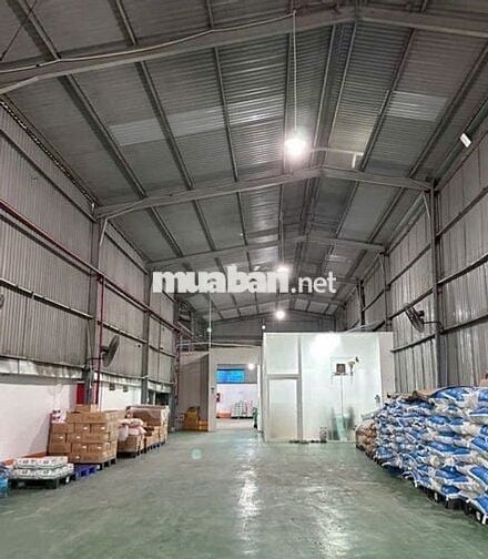 Kho Đào Trí cần cho thuê với giá rẻ diện tích 300m2 có pccc