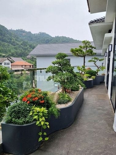 🌸 1. TIỂU CẢNH BAN CÔNG – KHÔNG GIAN NHỎ, CẢM XÚC LỚN