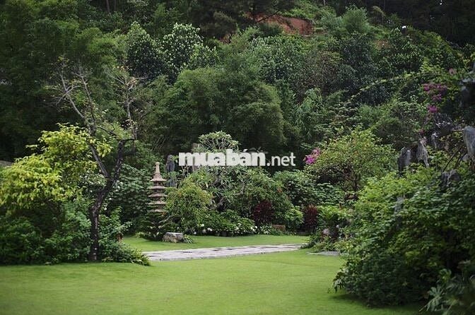 Bán trang trại, khu nghỉ dưỡng tại Đông Anh, Hà Nội diện tích 5000m2