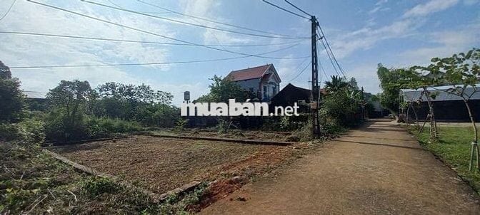 💥 ĐẤT VÀNG TRUNG TÂM XÃ SÓC SƠN – MẶT TIỀN 7,45M – NGÕ Ô TÔ 💥