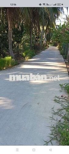 Bán 1500m đất lộ xe tải xe hoi vivu