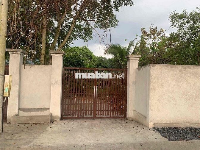 Bán đất thổ cư xã Nhị Bình, Hóc môn