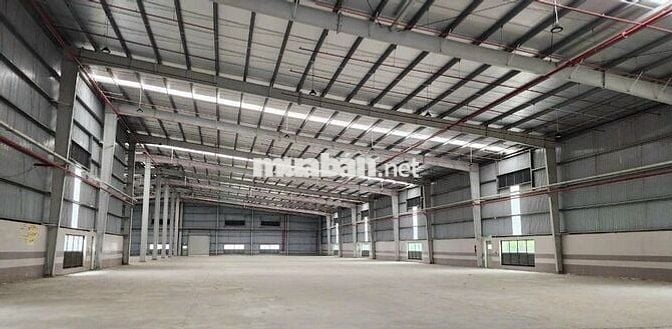 CHO THUÊ KHO XƯỞNG BÌNH CHÁNH 1600M2 GIÁ 60TR, ĐIỆN 3 PHA, PCCC VÁCH