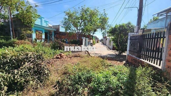 Chính Chủ Bán Đất gần chợ Xuân Lập